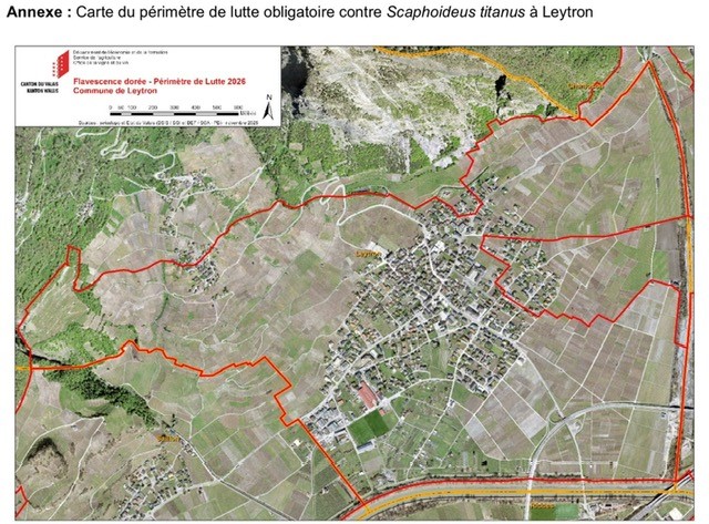 Périmètre_flavescence_dorée.jpg